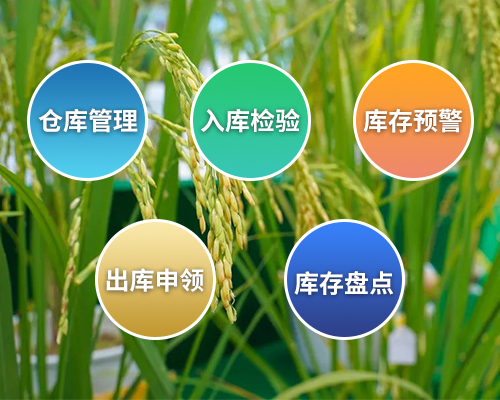 未標題-2.png