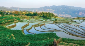 智慧農業(yè)平臺