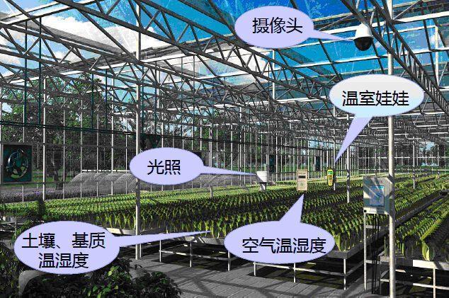 種業(yè)供應鏈管理軟件